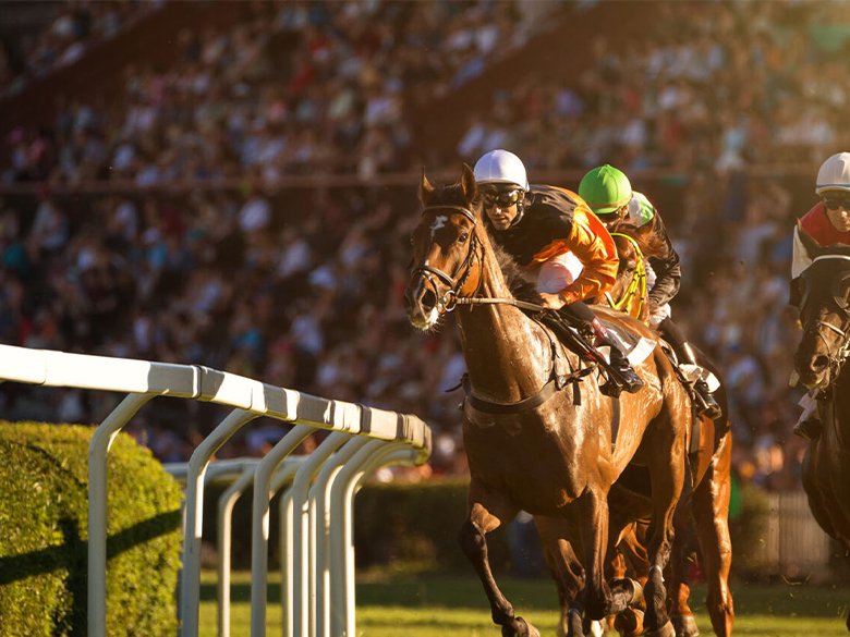 Occasions 3 cheltenham races 2